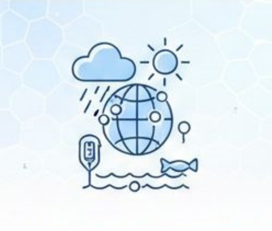 Meteoroloji �zleme �stasyonu 